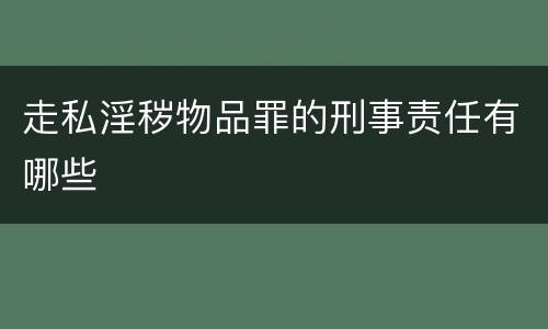 走私淫秽物品罪的刑事责任有哪些