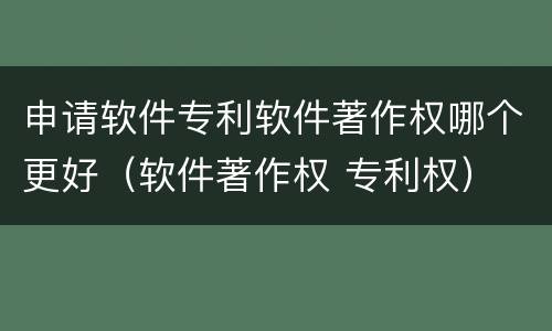 申请软件专利软件著作权哪个更好（软件著作权 专利权）