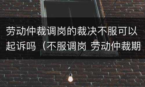 劳动仲裁调岗的裁决不服可以起诉吗（不服调岗 劳动仲裁期间 要上班吗）