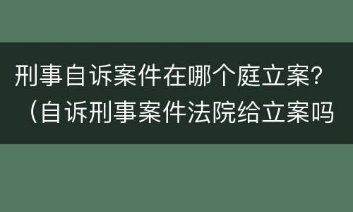 刑事自诉案件在哪个庭立案？（自诉刑事案件法院给立案吗）