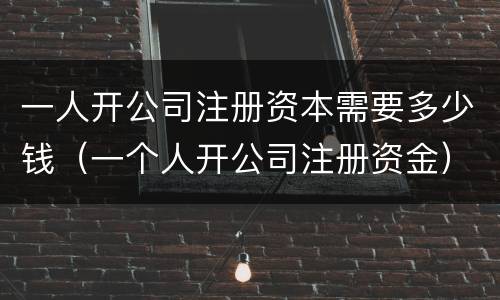 一人开公司注册资本需要多少钱（一个人开公司注册资金）