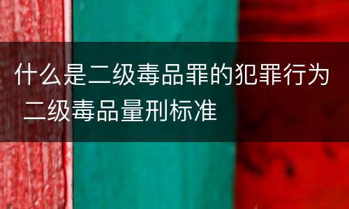 什么是二级毒品罪的犯罪行为 二级毒品量刑标准