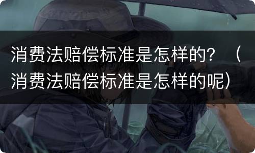 消费法赔偿标准是怎样的？（消费法赔偿标准是怎样的呢）