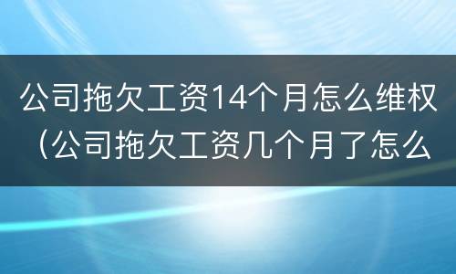 公司拖欠工资14个月怎么维权（公司拖欠工资几个月了怎么办）