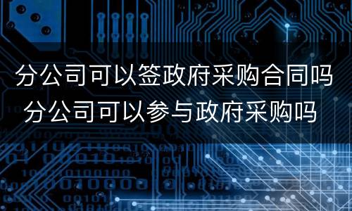 分公司可以签政府采购合同吗 分公司可以参与政府采购吗