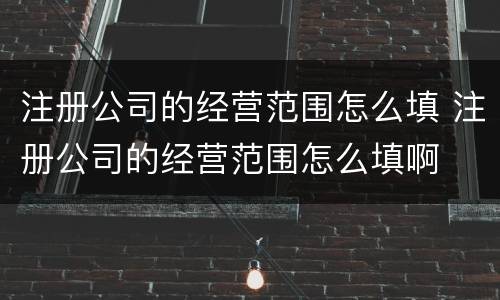 注册公司的经营范围怎么填 注册公司的经营范围怎么填啊