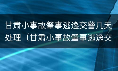 甘肃小事故肇事逃逸交警几天处理（甘肃小事故肇事逃逸交警几天处理结束）