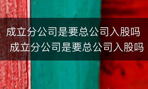 成立分公司是要总公司入股吗 成立分公司是要总公司入股吗为什么