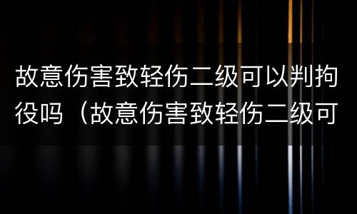 故意伤害致轻伤二级可以判拘役吗（故意伤害致轻伤二级可以判拘役吗知乎）