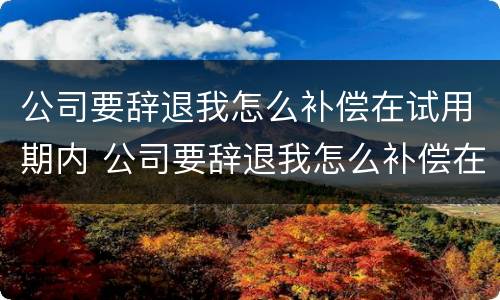 公司要辞退我怎么补偿在试用期内 公司要辞退我怎么补偿在试用期内离职