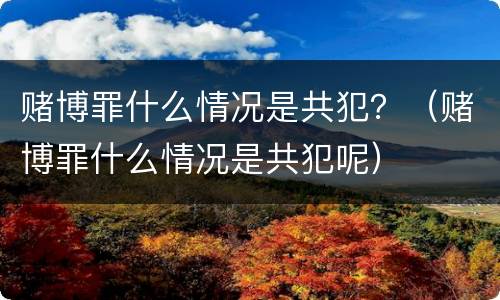 赌博罪什么情况是共犯？（赌博罪什么情况是共犯呢）