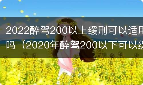 2022醉驾200以上缓刑可以适用吗（2020年醉驾200以下可以缓刑吗）