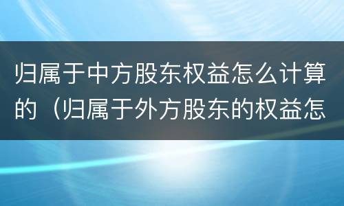 归属于中方股东权益怎么计算的（归属于外方股东的权益怎么填）