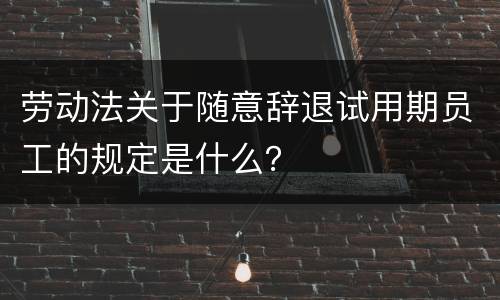 劳动法关于随意辞退试用期员工的规定是什么？