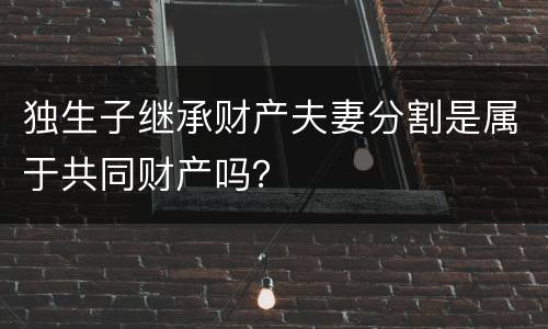 独生子继承财产夫妻分割是属于共同财产吗？