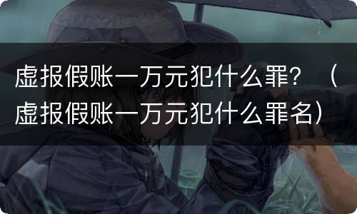 虚报假账一万元犯什么罪？（虚报假账一万元犯什么罪名）