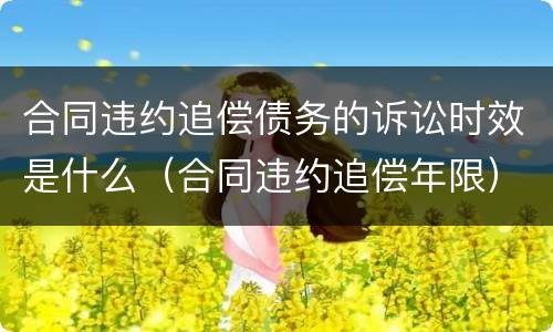 合同违约追偿债务的诉讼时效是什么（合同违约追偿年限）