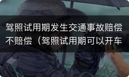 驾照试用期发生交通事故赔偿不赔偿（驾照试用期可以开车吗）