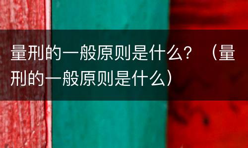 量刑的一般原则是什么？（量刑的一般原则是什么）