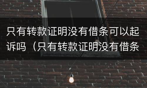 只有转款证明没有借条可以起诉吗（只有转款证明没有借条可以起诉吗怎么办）