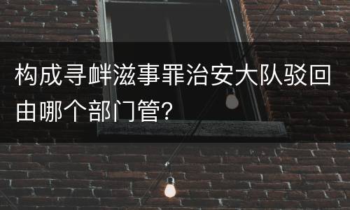 构成寻衅滋事罪治安大队驳回由哪个部门管？