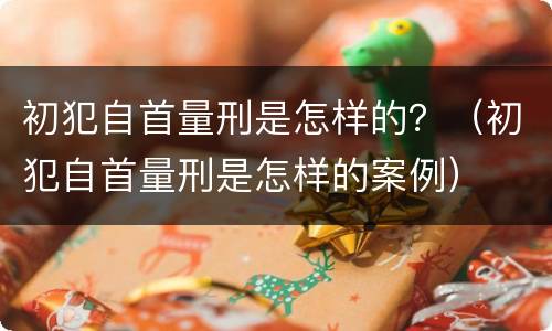 初犯自首量刑是怎样的？（初犯自首量刑是怎样的案例）