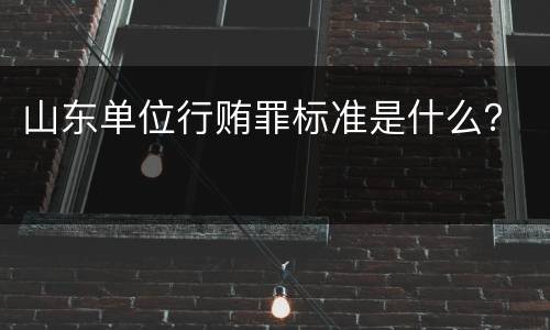 山东单位行贿罪标准是什么？