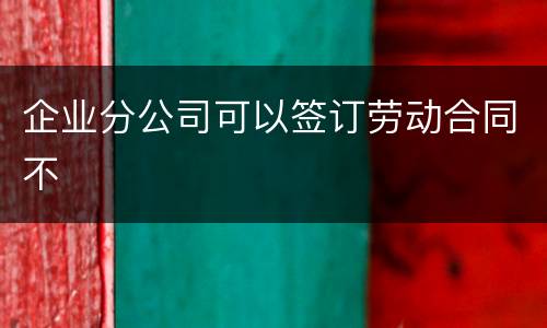 企业分公司可以签订劳动合同不