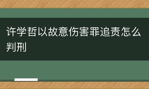 许学哲以故意伤害罪追责怎么判刑