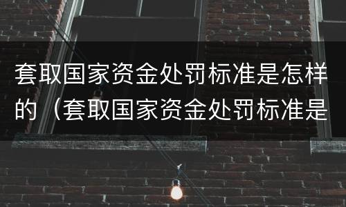 套取国家资金处罚标准是怎样的（套取国家资金处罚标准是怎样的规定）