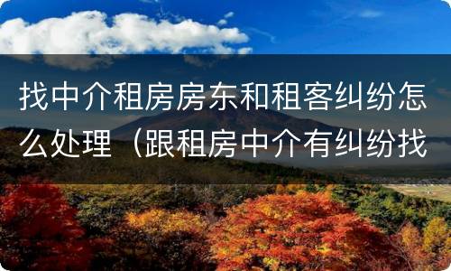 找中介租房房东和租客纠纷怎么处理（跟租房中介有纠纷找谁解决）