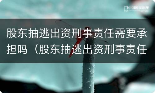 股东抽逃出资刑事责任需要承担吗（股东抽逃出资刑事责任需要承担吗知乎）