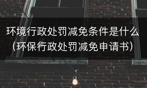 环境行政处罚减免条件是什么（环保行政处罚减免申请书）