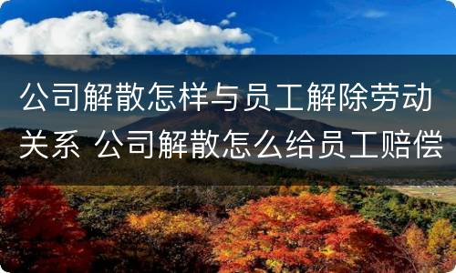 公司解散怎样与员工解除劳动关系 公司解散怎么给员工赔偿