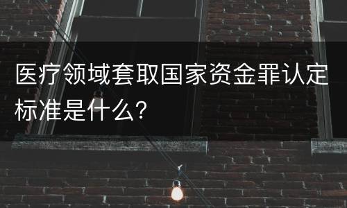 医疗领域套取国家资金罪认定标准是什么？