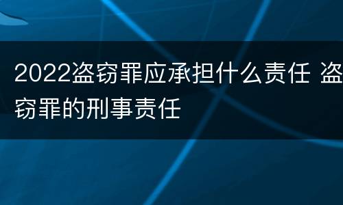 2022盗窃罪应承担什么责任 盗窃罪的刑事责任