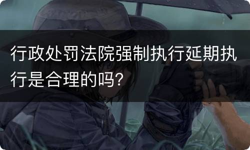 行政处罚法院强制执行延期执行是合理的吗？