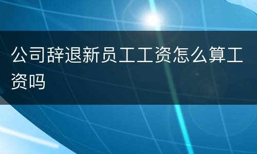 公司辞退新员工工资怎么算工资吗