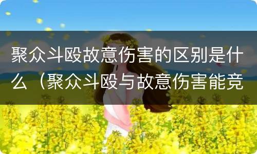 聚众斗殴故意伤害的区别是什么（聚众斗殴与故意伤害能竞合吗）