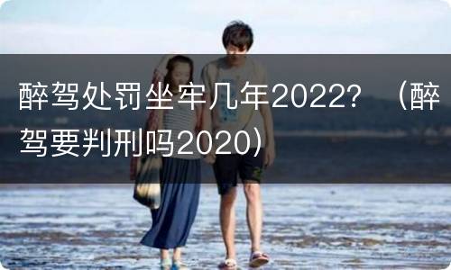 醉驾处罚坐牢几年2022？（醉驾要判刑吗2020）