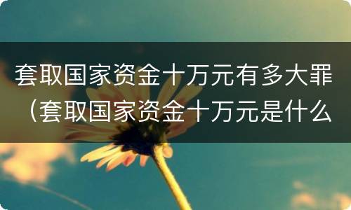 套取国家资金十万元有多大罪（套取国家资金十万元是什么罪）