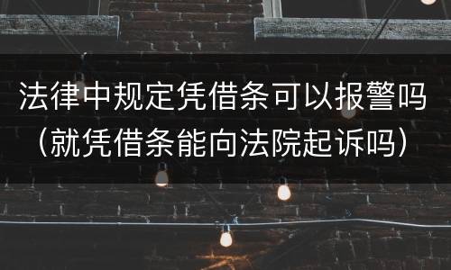 法律中规定凭借条可以报警吗（就凭借条能向法院起诉吗）