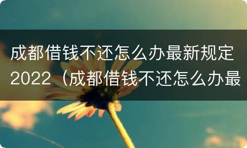 成都借钱不还怎么办最新规定2022（成都借钱不还怎么办最新规定2022年）