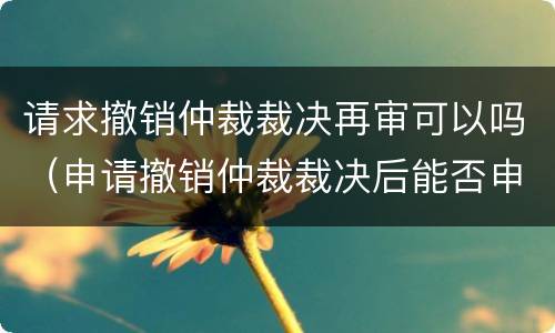 请求撤销仲裁裁决再审可以吗（申请撤销仲裁裁决后能否申请再审）