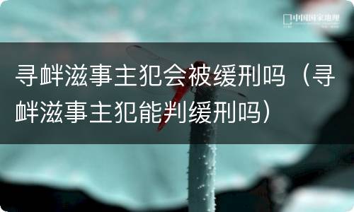 寻衅滋事主犯会被缓刑吗（寻衅滋事主犯能判缓刑吗）