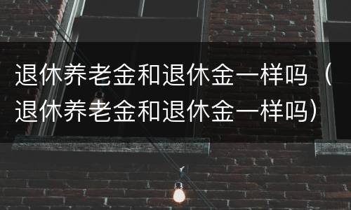 退休养老金和退休金一样吗（退休养老金和退休金一样吗）