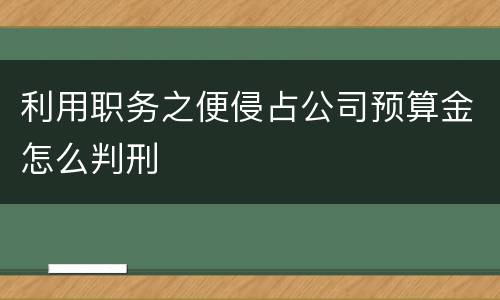 利用职务之便侵占公司预算金怎么判刑