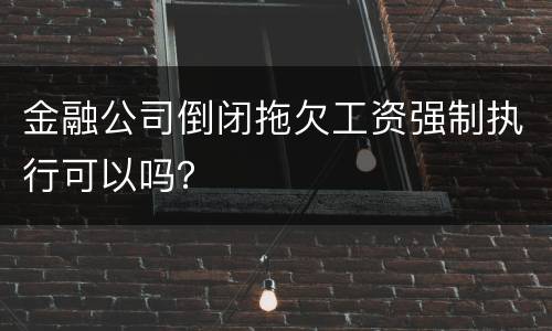 金融公司倒闭拖欠工资强制执行可以吗？