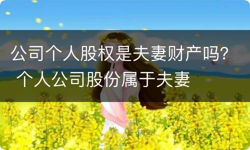 公司个人股权是夫妻财产吗？ 个人公司股份属于夫妻