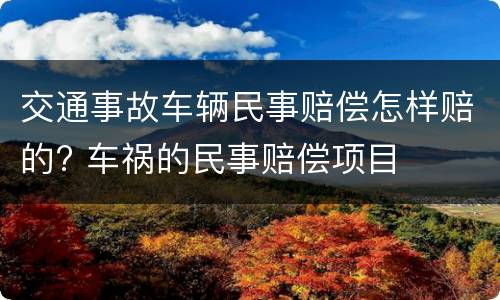 交通事故车辆民事赔偿怎样赔的? 车祸的民事赔偿项目